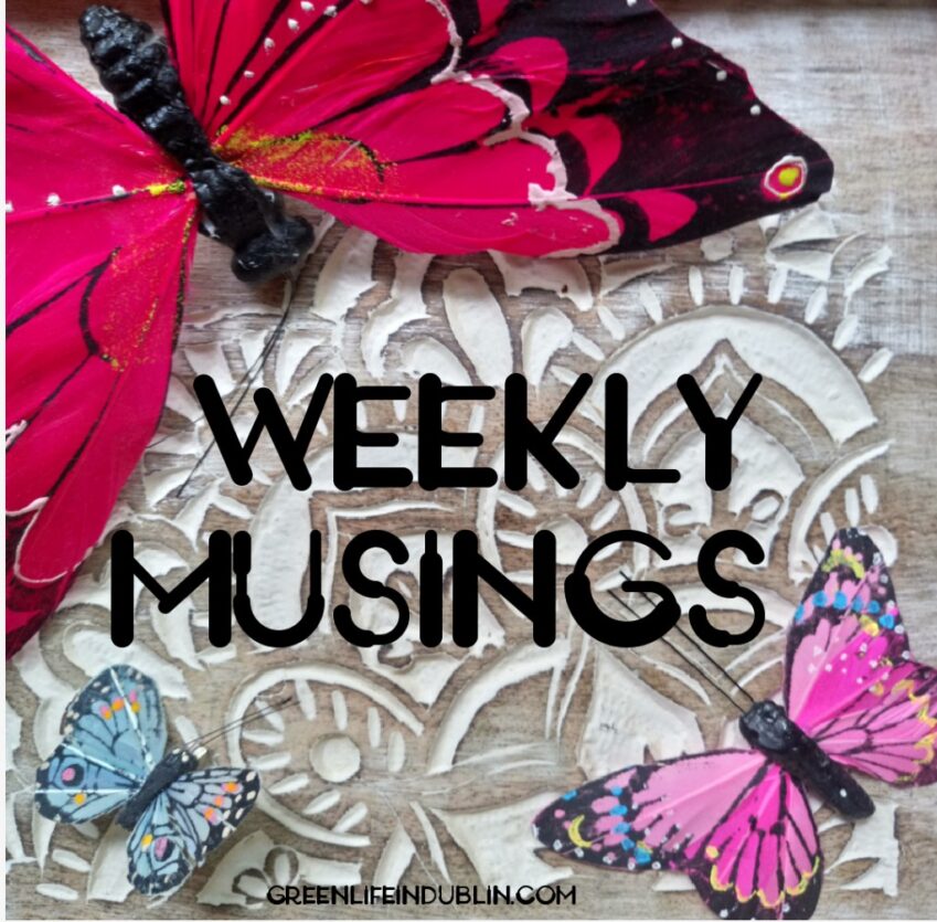Weekly Musings – November 2018