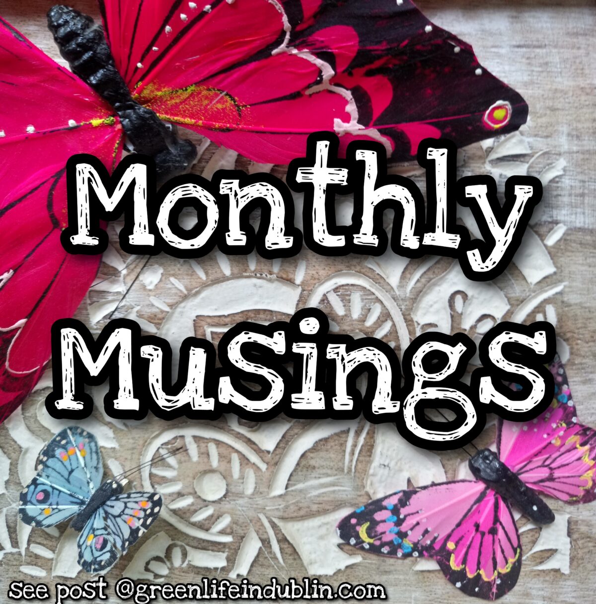 Monthly Musings – Minimizing & Slowing Down  – Green Life In Dublin