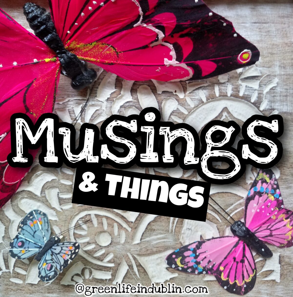 Musings & Things May 24 – Planting, Natural Products & Slow Fashion Pause