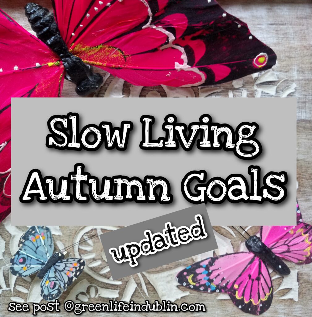 Reacting to my slow living autumn goals post - Green Life In Dublin