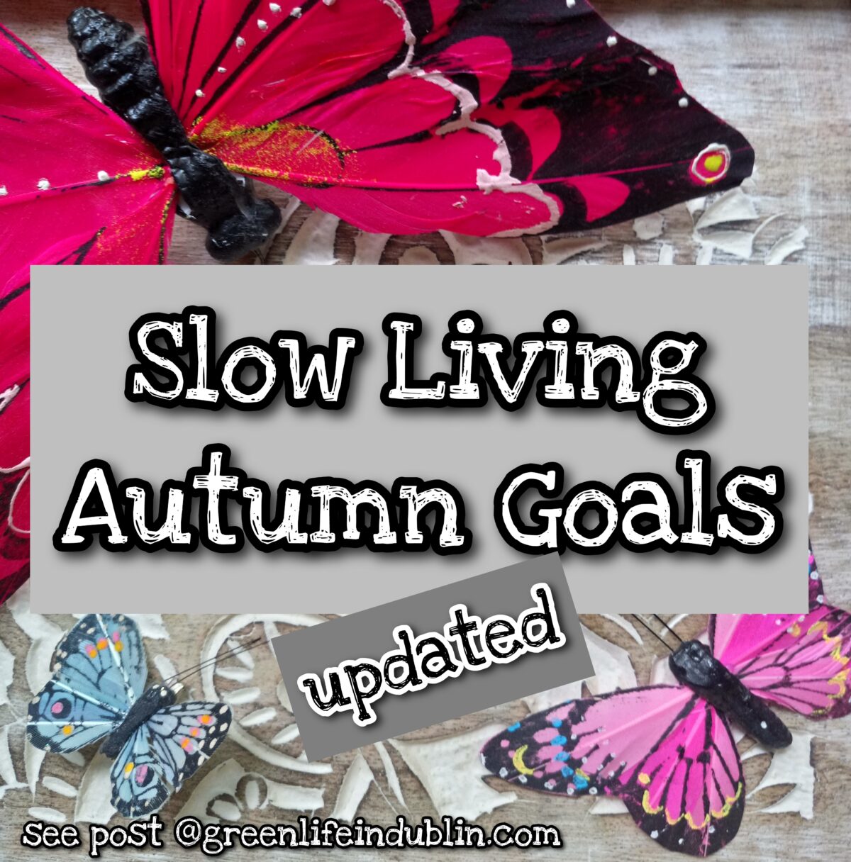 Reacting to my slow living autumn goals post – Green Life In Dublin
