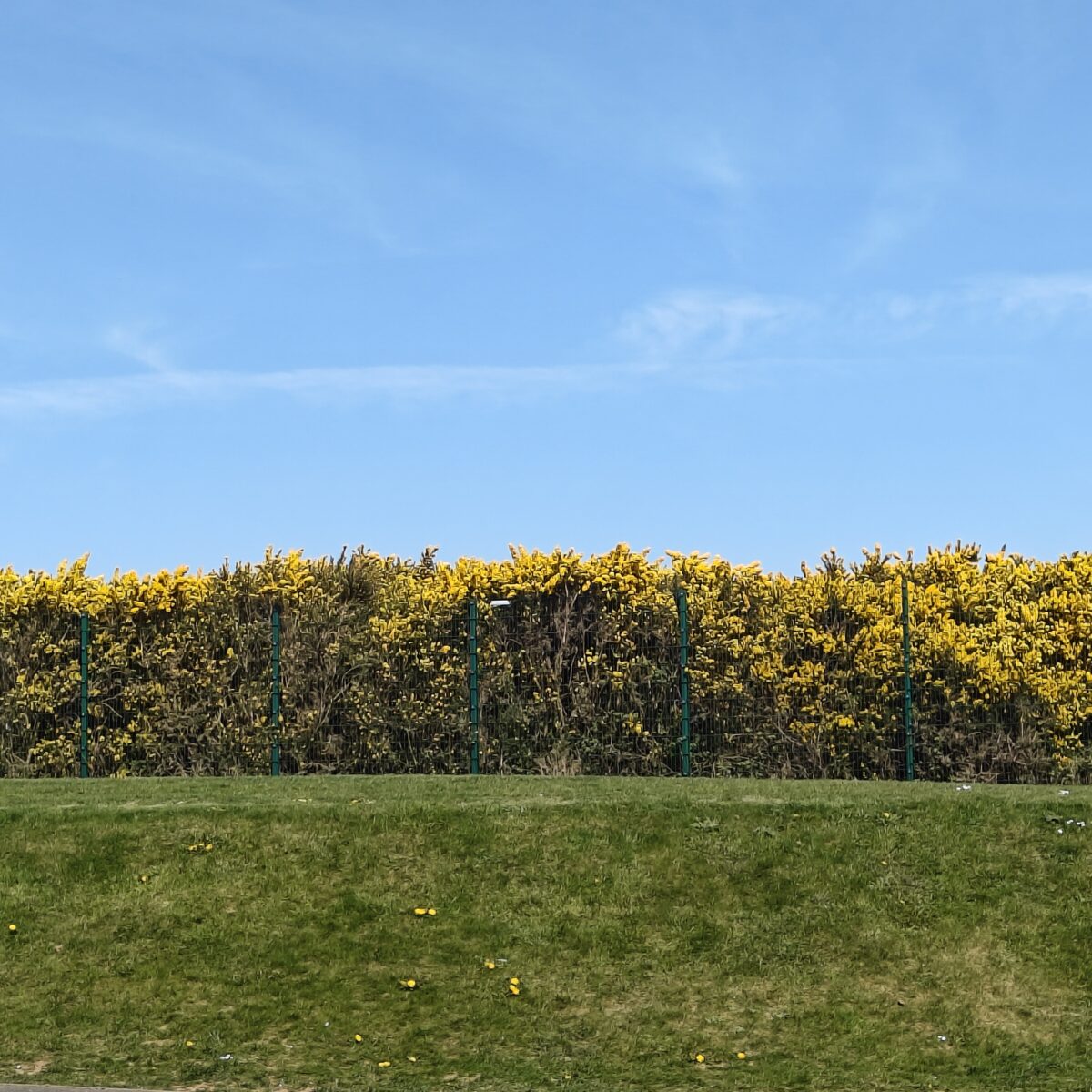 Musings & Things April 2025 – low buy year, vintage fair & more