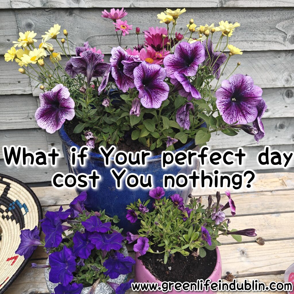 Musings & things June 2025 - Green Life In Dublin