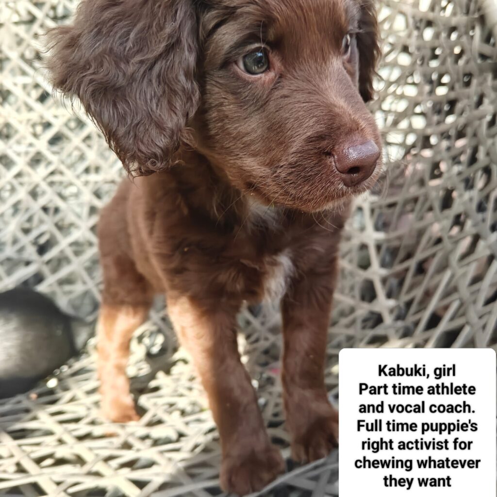 Kabuki