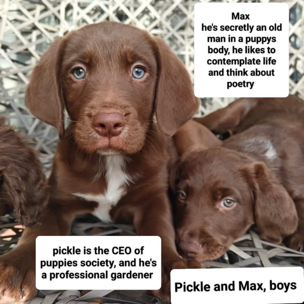 Pickle & Max