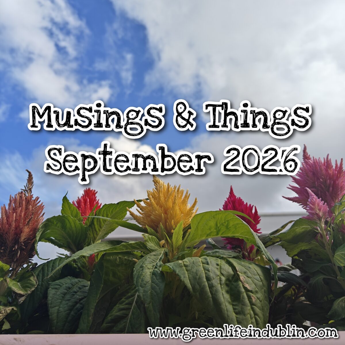 Musings & Things September 26 – Green Life In Dublin